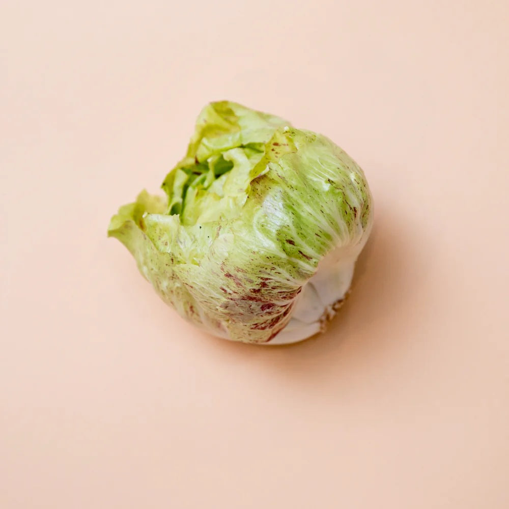 Castelfranco Radicchio