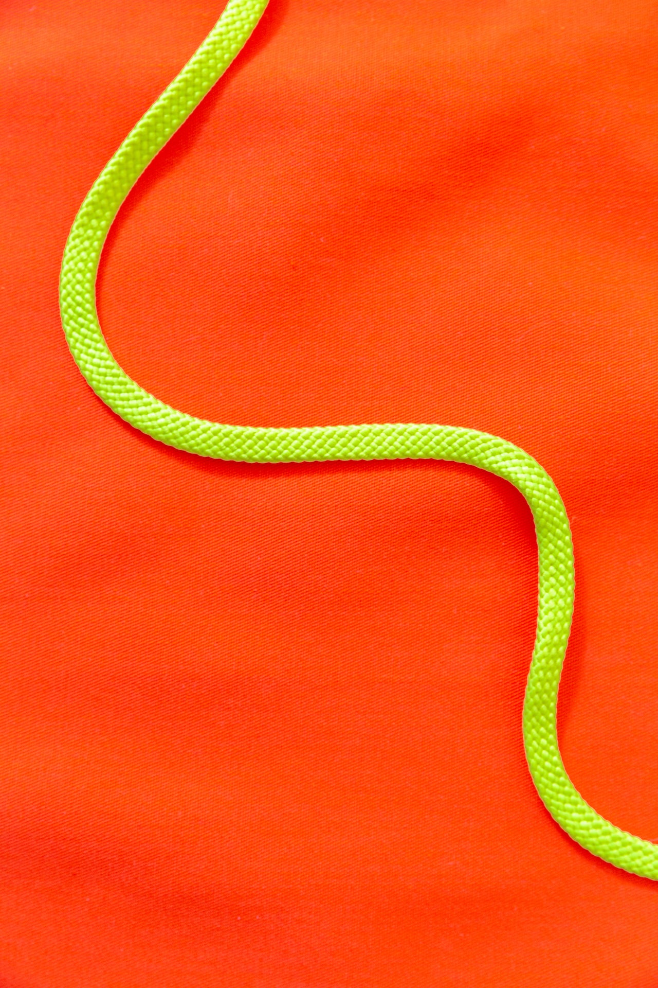 neon cord