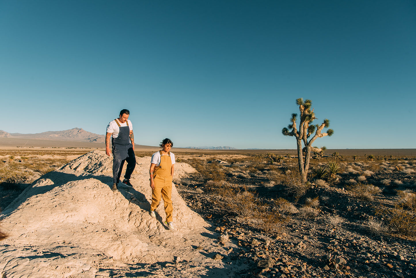 chef apparel overalls