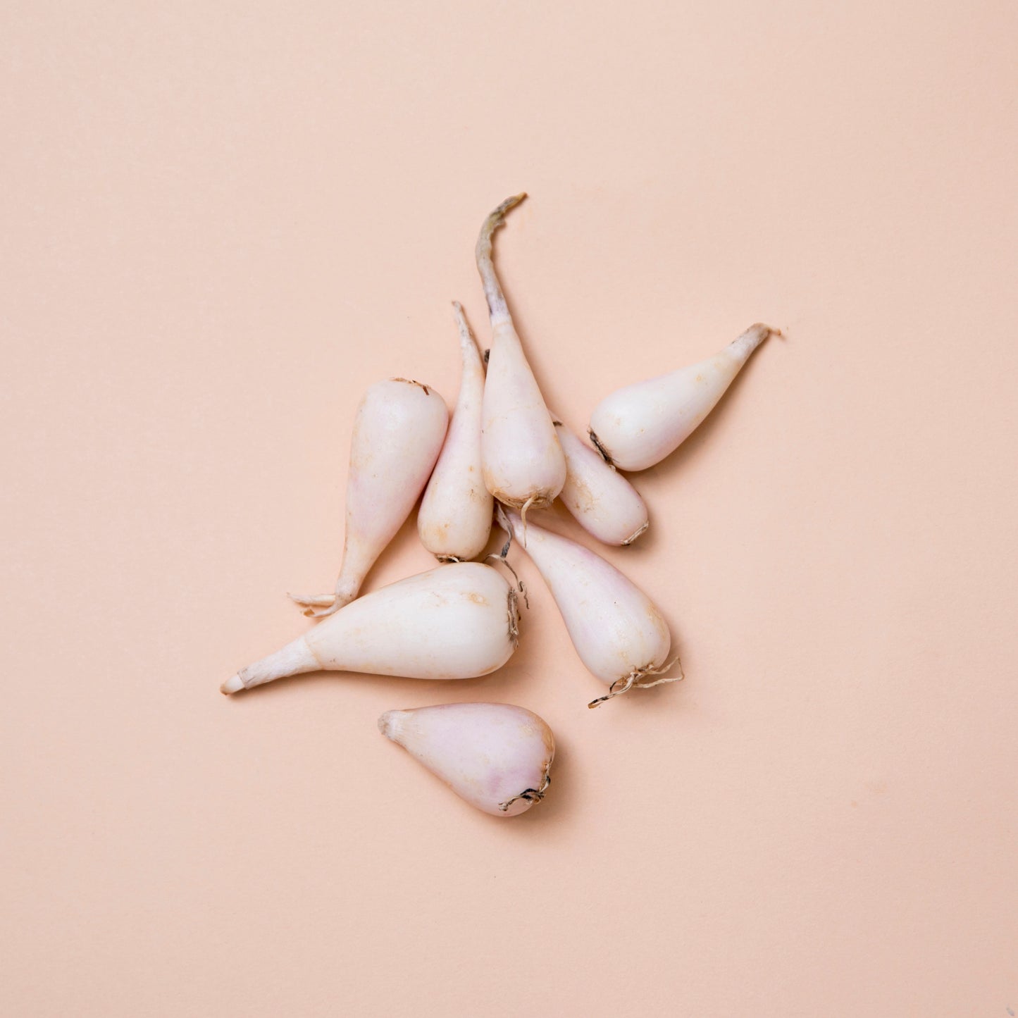 Ingredients Ramp Bulbs Tilit