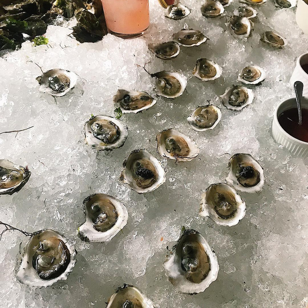 oyster happy hour